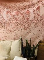 MoonLitWhiteRosePink4